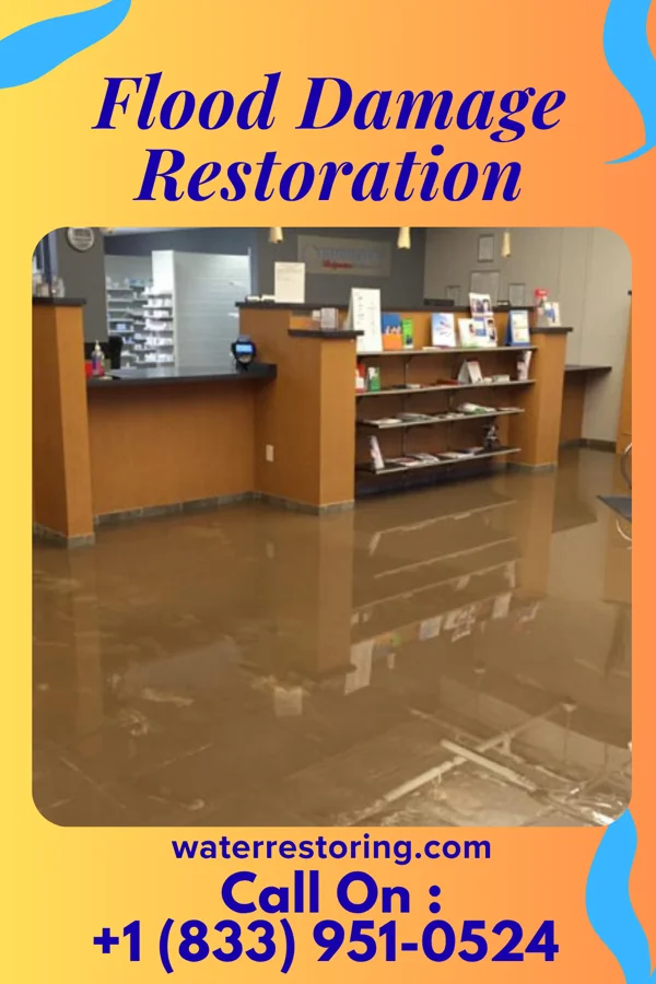Flood Damage Restoration in Plymouth, WI