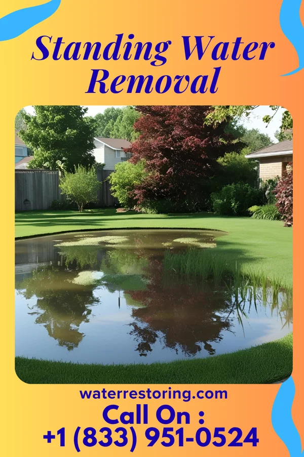 Standing Water Removal in Plymouth, WI